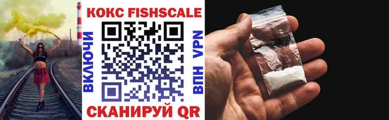 купить наркотики сайты  мега как войти  Кокаин Fish Scale  shop как зайти  Ессентуки 